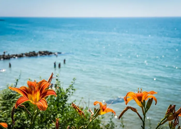 Premier Sands - Full Board 리조트