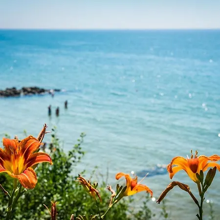 Premier Sands - Full Board Resort